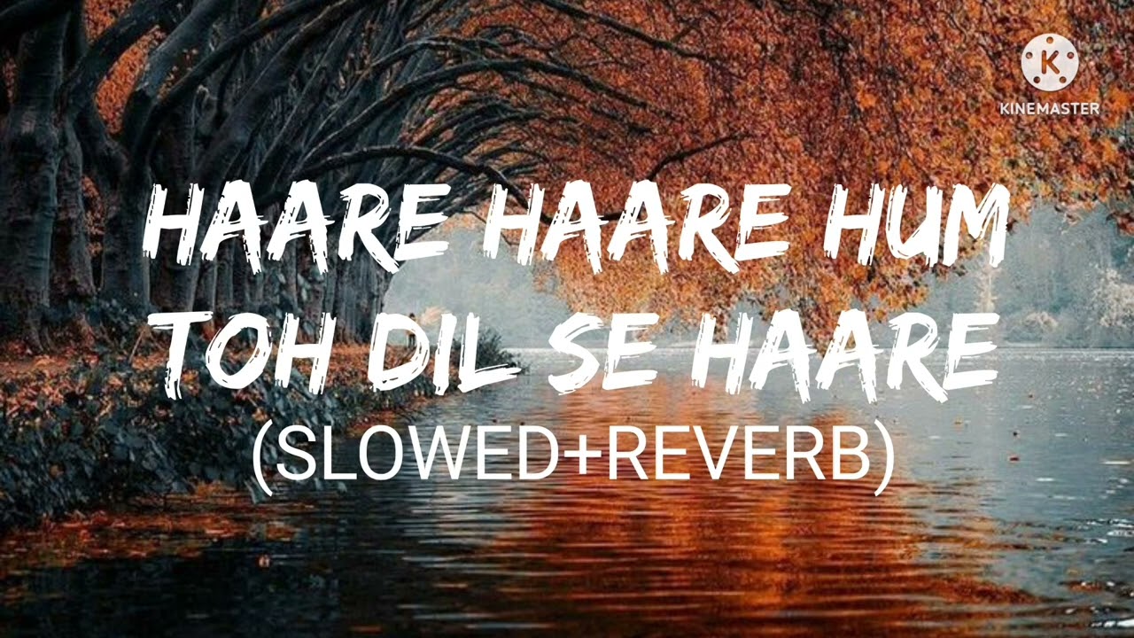 Haare Haare Hum Toh Dil Se Haare- Lofi (Slowed+Reverb) | Udit Narayan | AM Lofi 