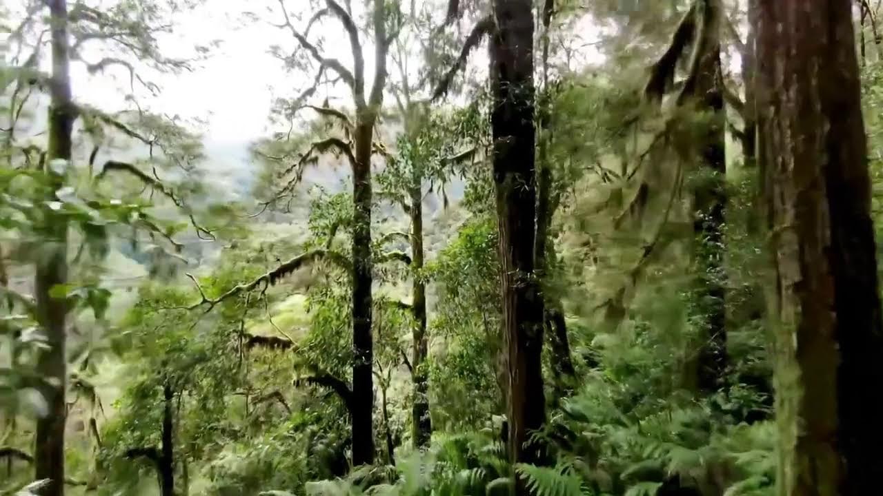 George Strait, Kenny Rogers, Willie Nelson, Alan Jackson Best Old Country Playlist