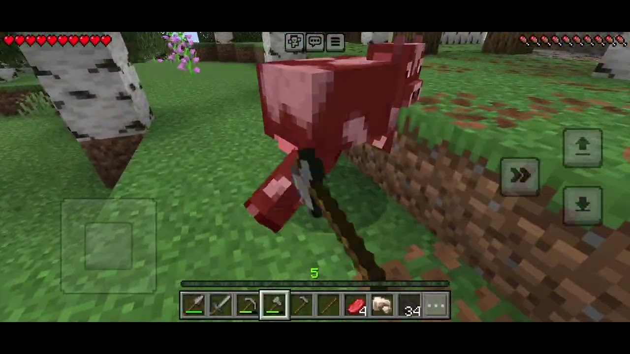 Minecraft survival world pt 1
