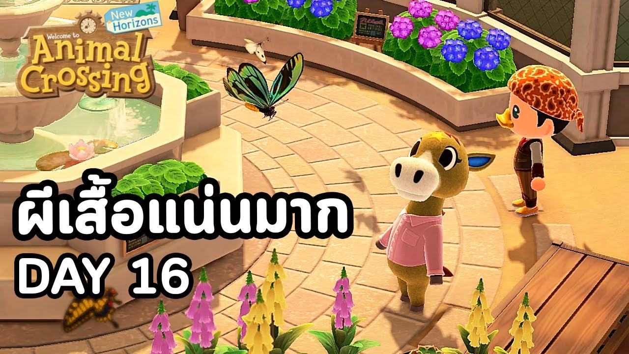 Animal Crossing : Day  16 ผีเสื้อแน่นมาก