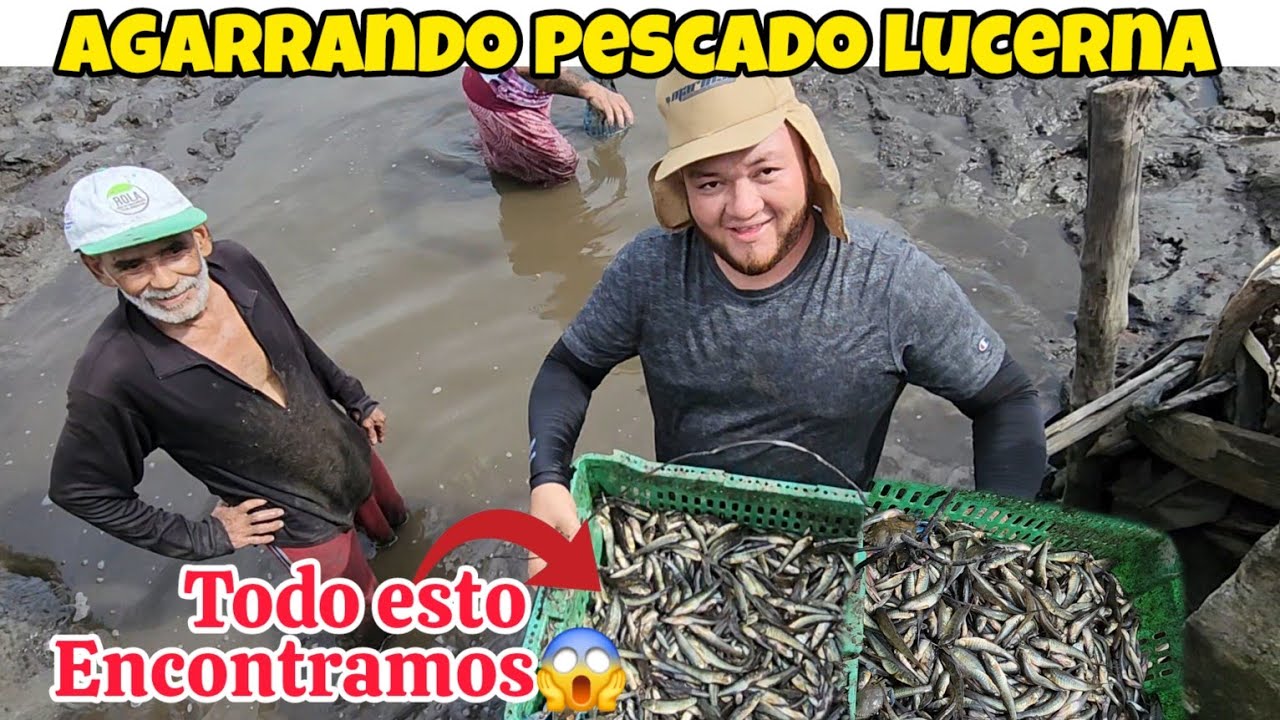 🚨 60 libras de pescados y camarones! miren como los atrapamos!!