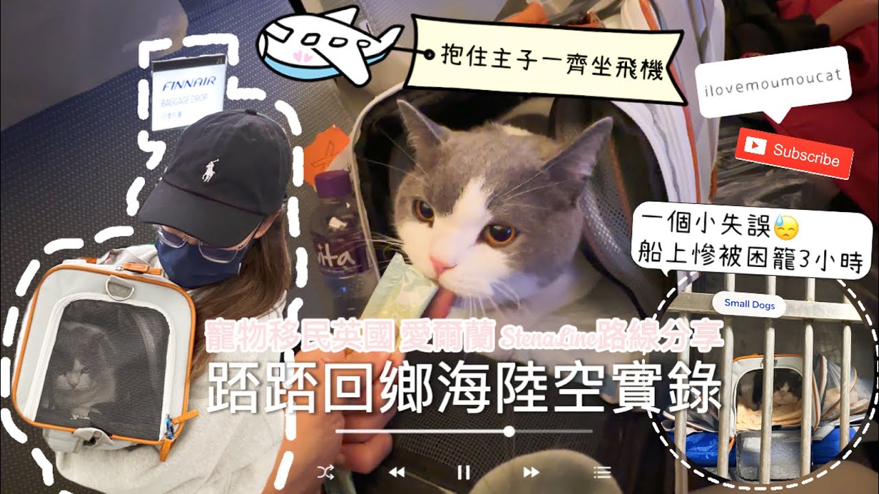 【寵物移民英國】踎哥海陸空27小時回鄉實錄(芬蘭航空 愛爾蘭都柏林 Stena Line轉船路線)￼￼