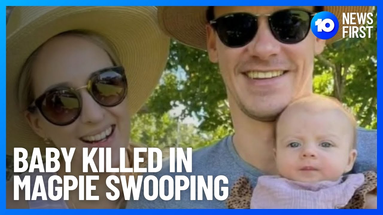 Baby Girl Dies After Magpie Swooping | 10 News First