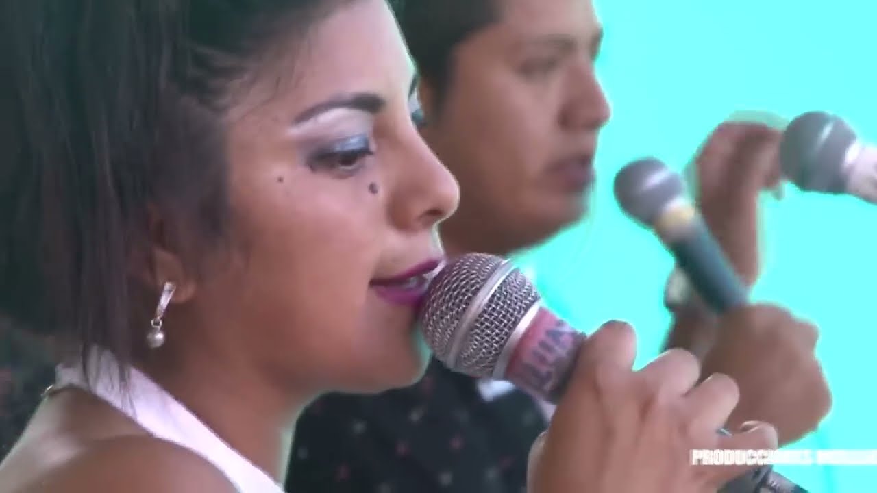 Deleites Andinos - Mix Recuerdos Inolvidables / En Chiclayo ♫