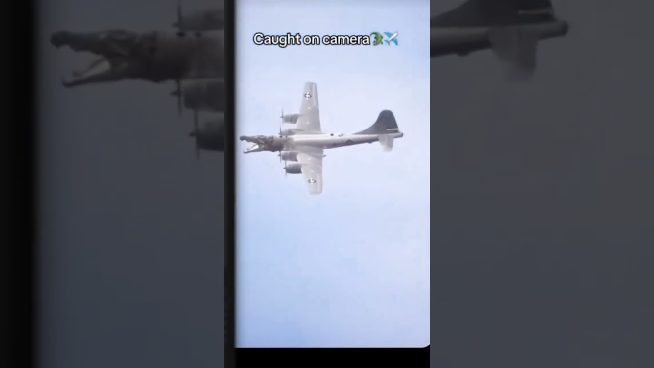 a flying crocodile caught on camera! 🧐😮