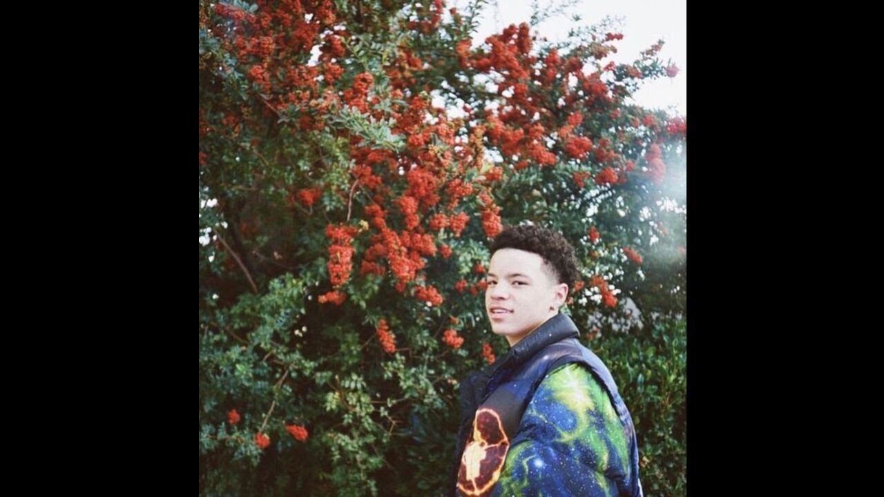 (free) lil mosey x sample type beat - 