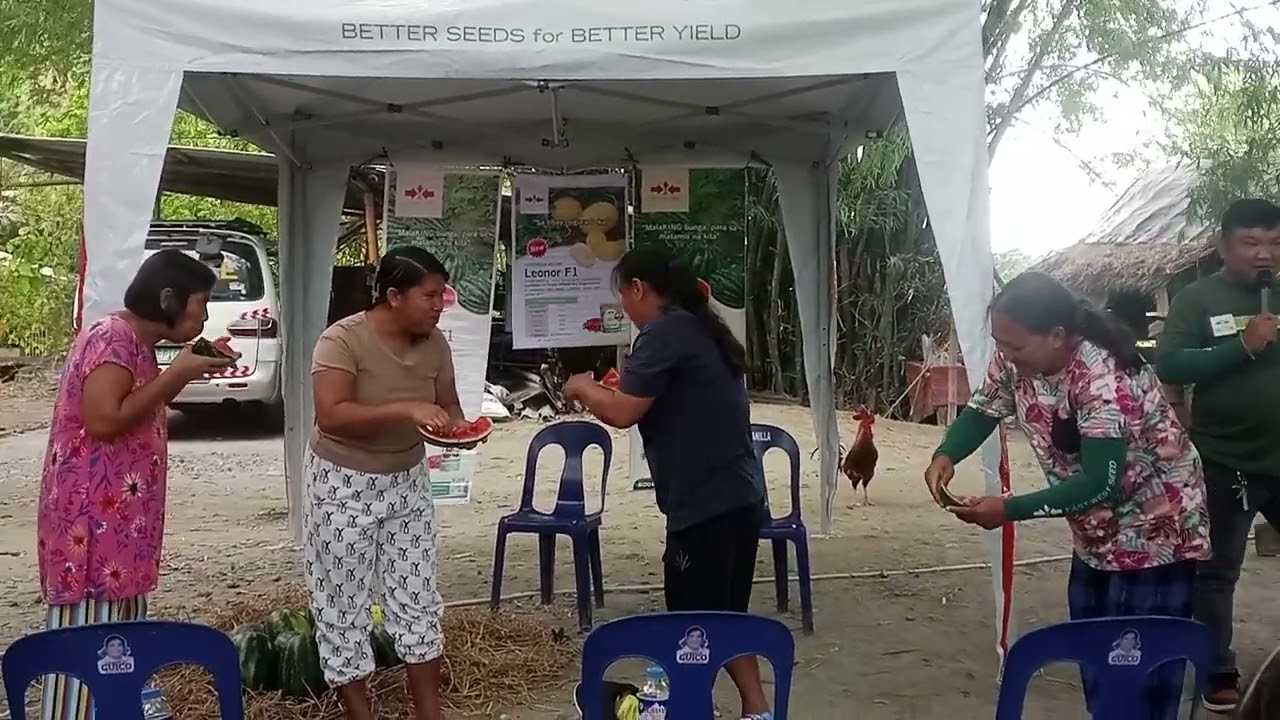 Pakwan Eating Contest Go Girls 
