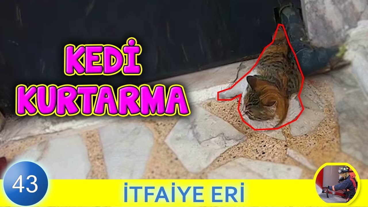 Kafası Kapıya Sıkışan Kediyi İtfaiye Erleri Kurtarıyor ! Cat Rescue Operation