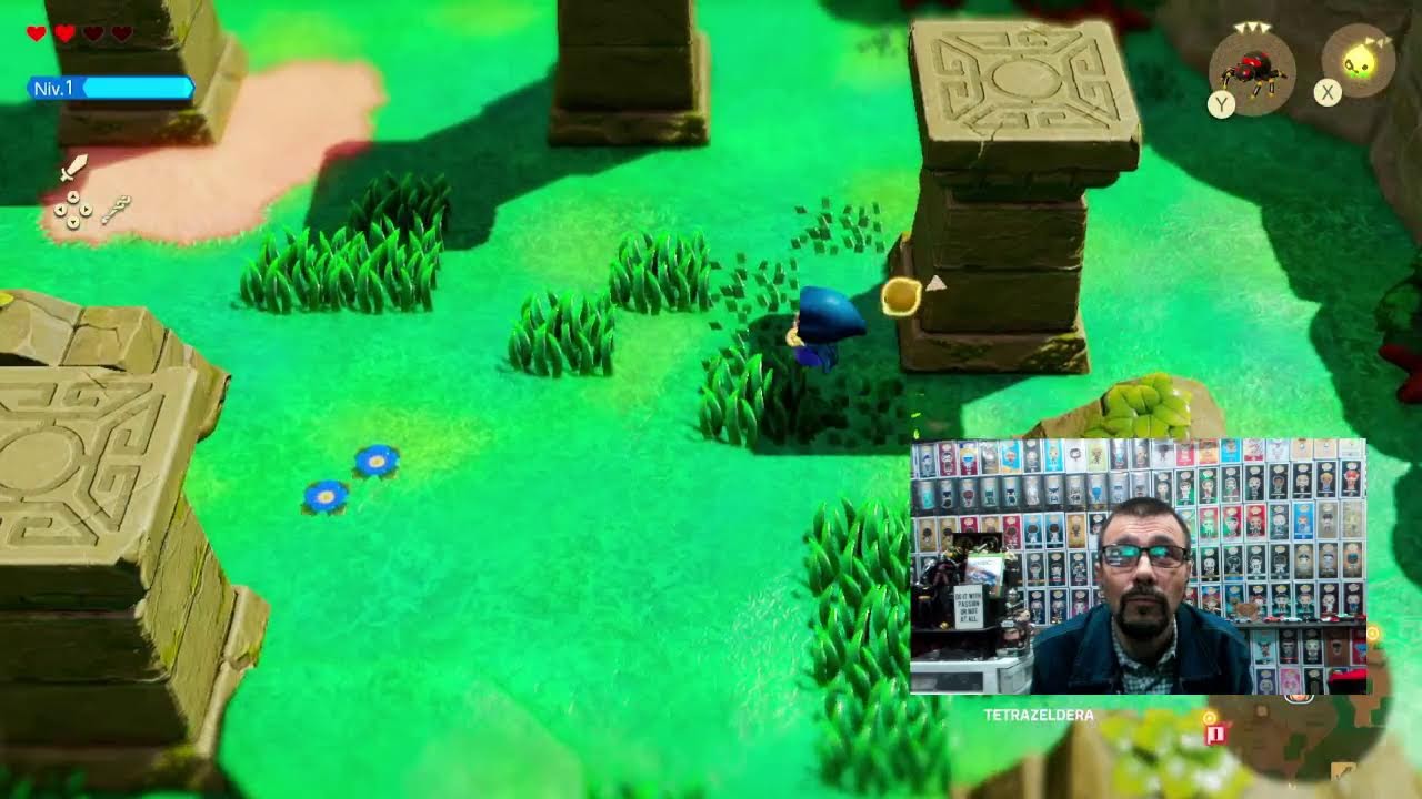 The Legend Of Zelda Echoes Of Wisdom en Nintendo switch