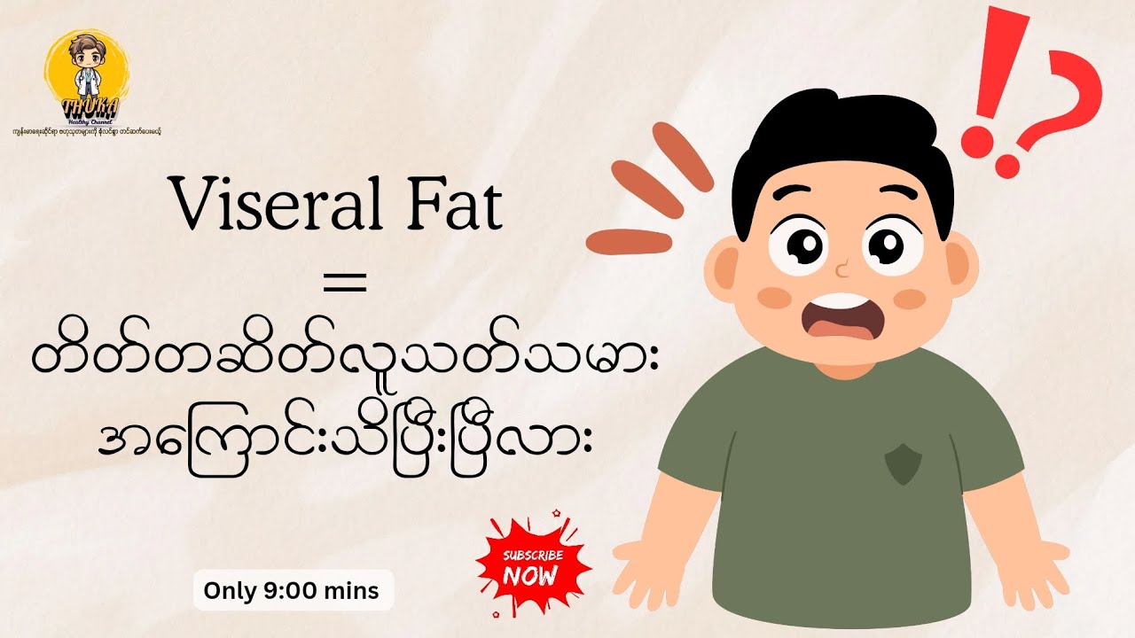 တိတ်တဆိတ်လူသတ်သမား=Viseral Fat 