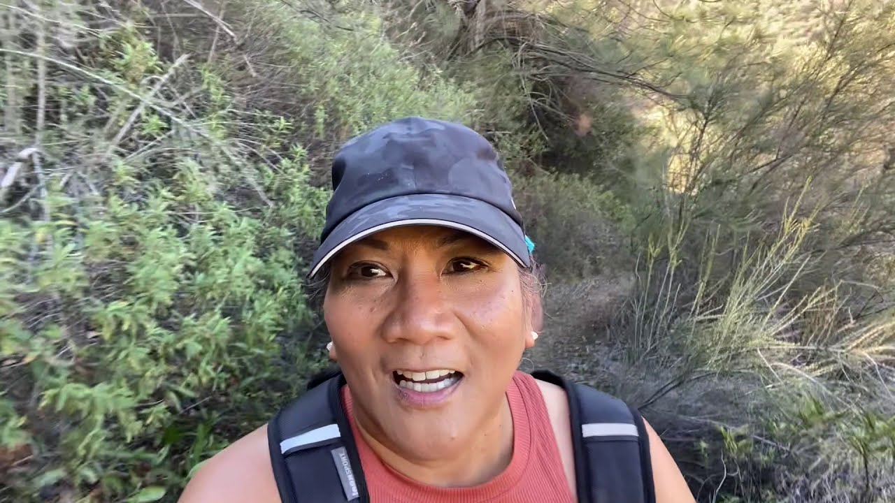 Mt Diablo State Park Waterfalls Hike  2021  Mitchell Canyon, Donner Canyon, Meridian Trail Bruce Lee