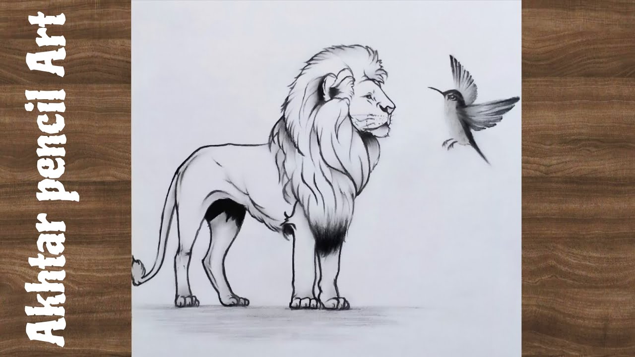Lion With Bird Drawing Tutorial Easy || How To Draw A Lion With Bird Step By Step || Bird Sketch 
