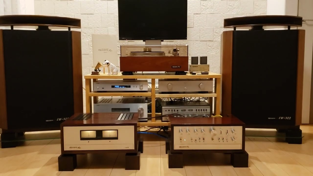 Pioneer Exclusive EW 302