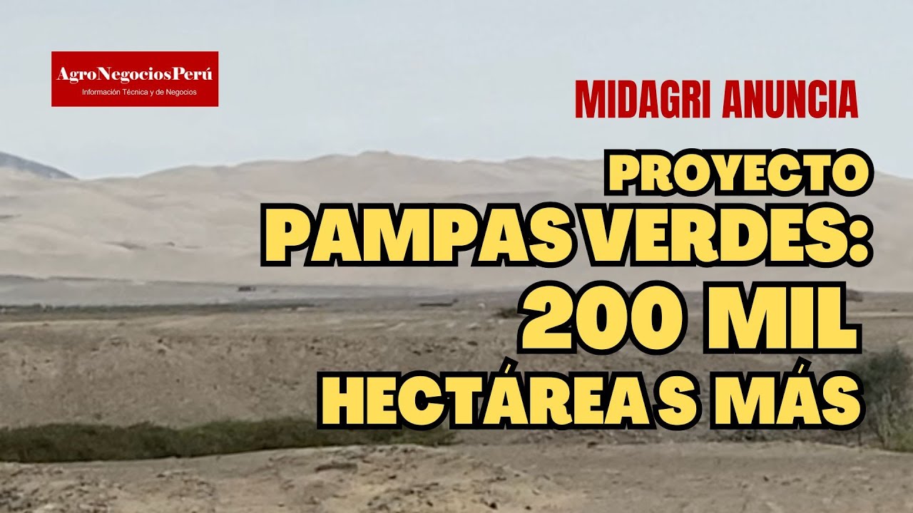 Anuncian proyecto de irrigación Pampas Verdes, 200 mil hectáreas para Ayacucho, Ica y Arequipa