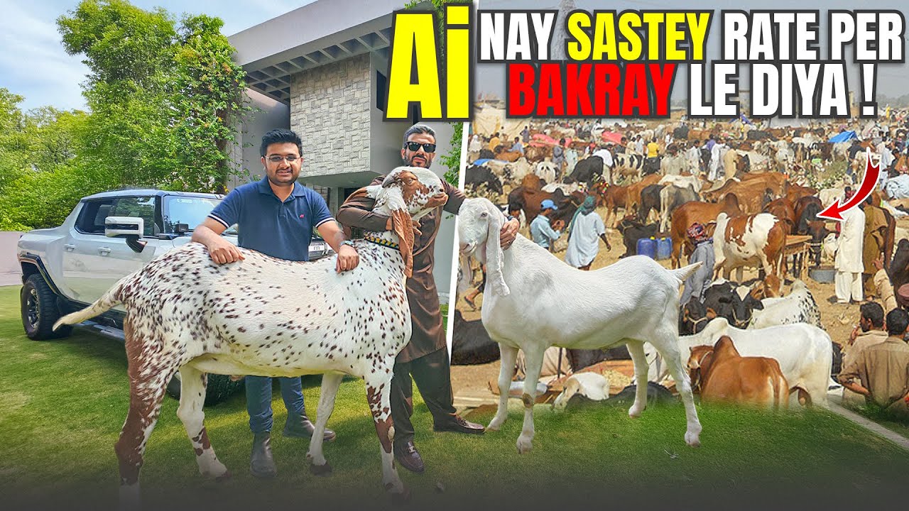 Bakra Shopping Ai  ka Sath Feat Suneel Munj