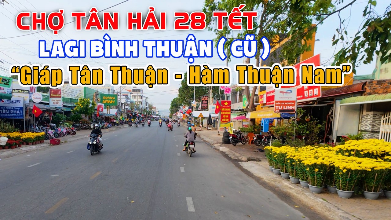402. Tấp Nập Chợ Hoa Tân Hải Lagi Bình Thuận || Toàn cảnh đường xá Dịp Tết 2026, Tân Tiến, Tân Hải