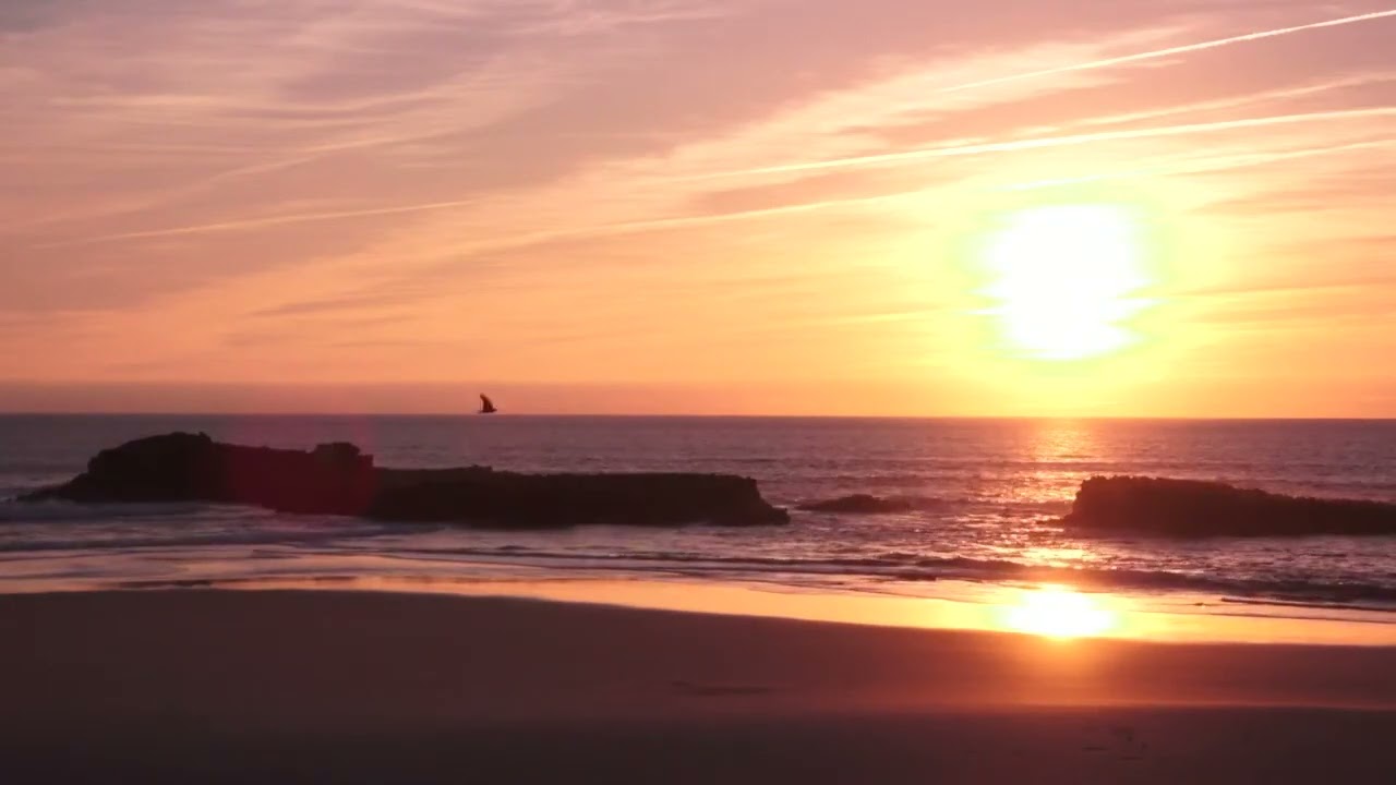 Beautiful Beach Sunset ❤️😍 | 4k video | Nature is beautiful 💗 | Short Footage |