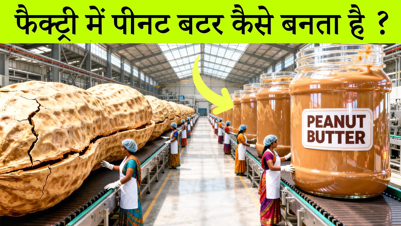 इतनी बड़ी मूंगफली से बनता है पीनट बटर? फैक्ट्री का सच 😱