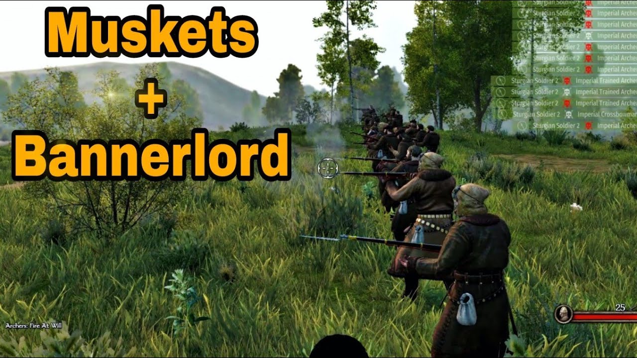 Mount and Blade II Bannerlord : Muskets Mod