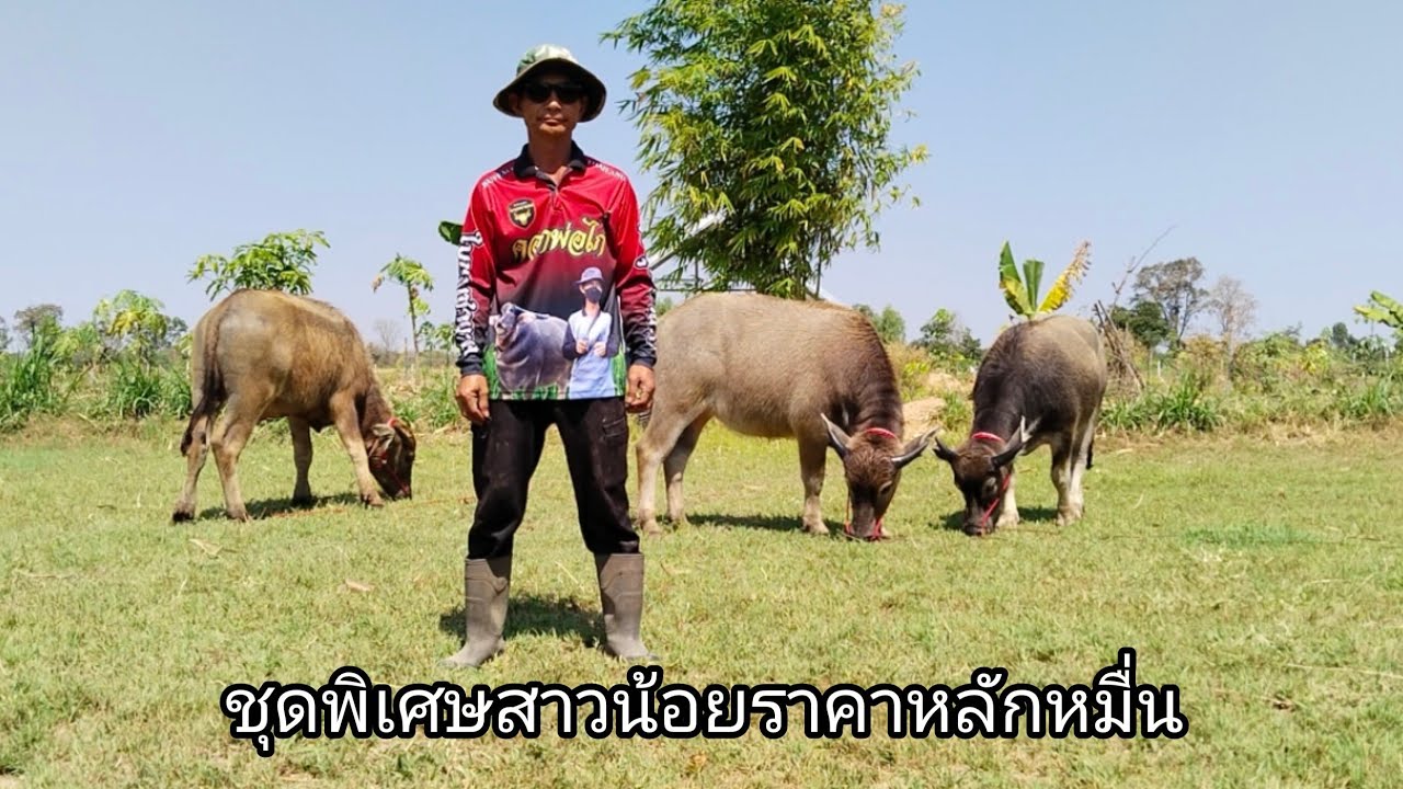 Ep.11 ชุดแม่สาวสายพัฒนา ราคาหมื่นกว่า สายพัฒนาไม่ควรพลาด