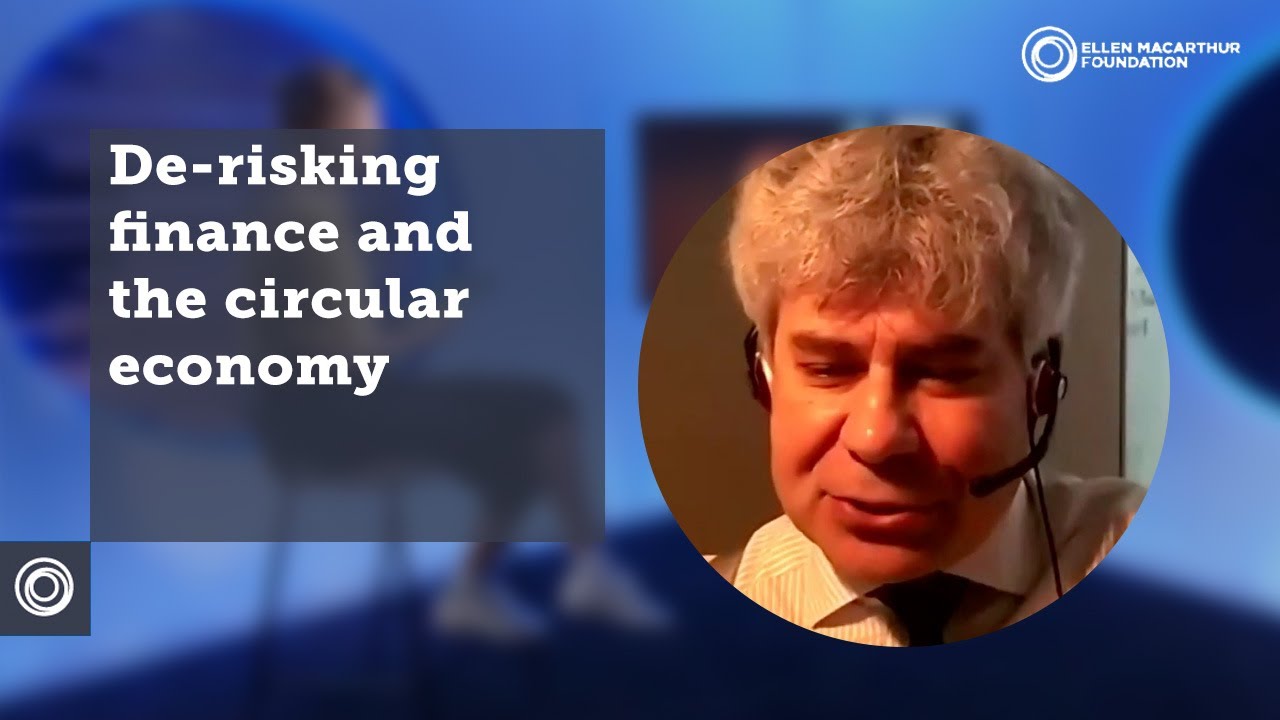 De-risking finance and the circular economy
