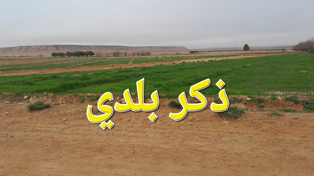 ذكر بلدي زين الله الله