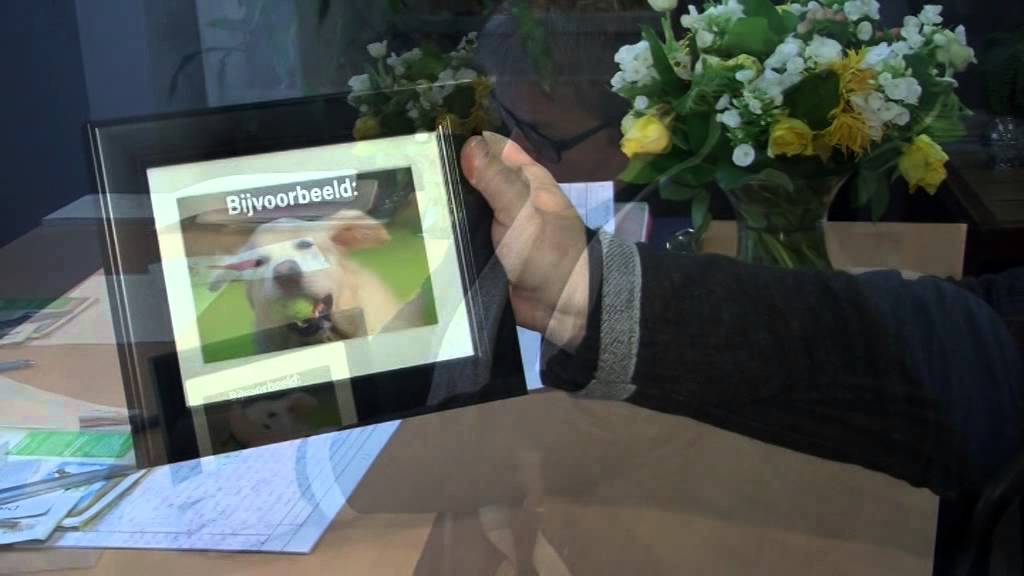 HAAGLANDEN HUISDIEREN CREMATORIUM