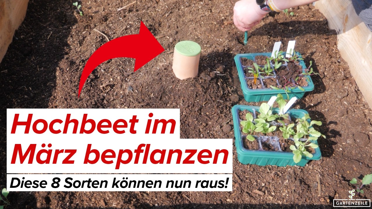 Hochbeet im M&auml;rz bepflanzen [Mit diesen Gem&uuml;sesorten kannst du starten]