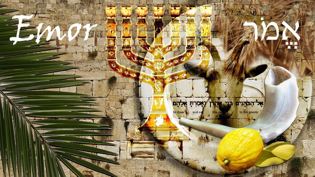 #31a Emor  - D'var Torah with Deeper Understanding into the HOLY DAYS of YHVH!