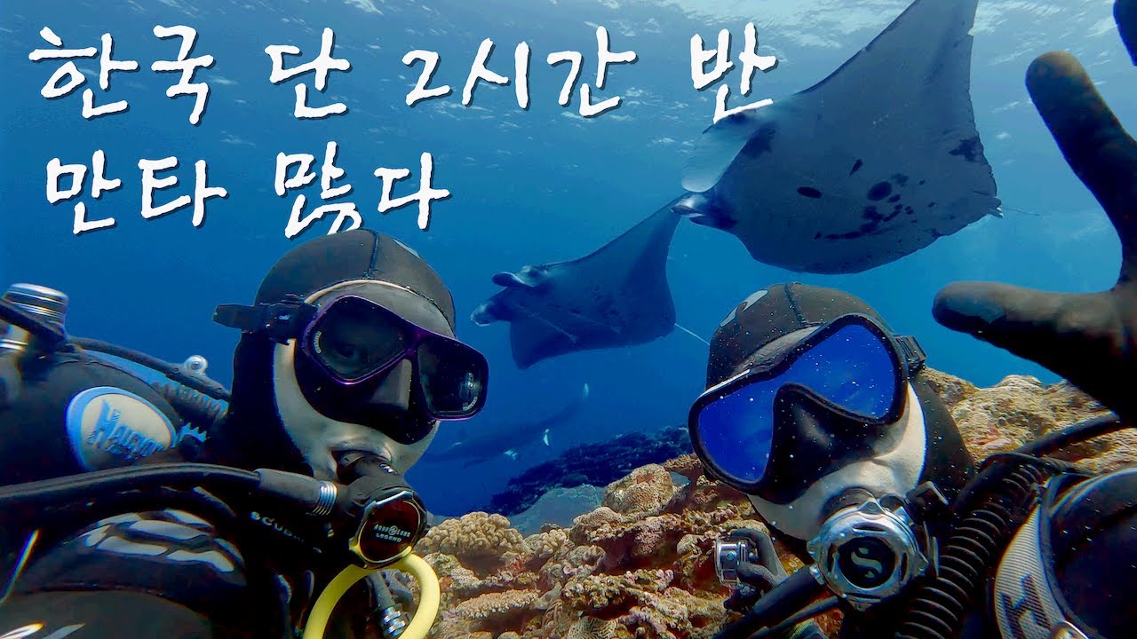 옥색 바다의 이시가키 (’25.11월)