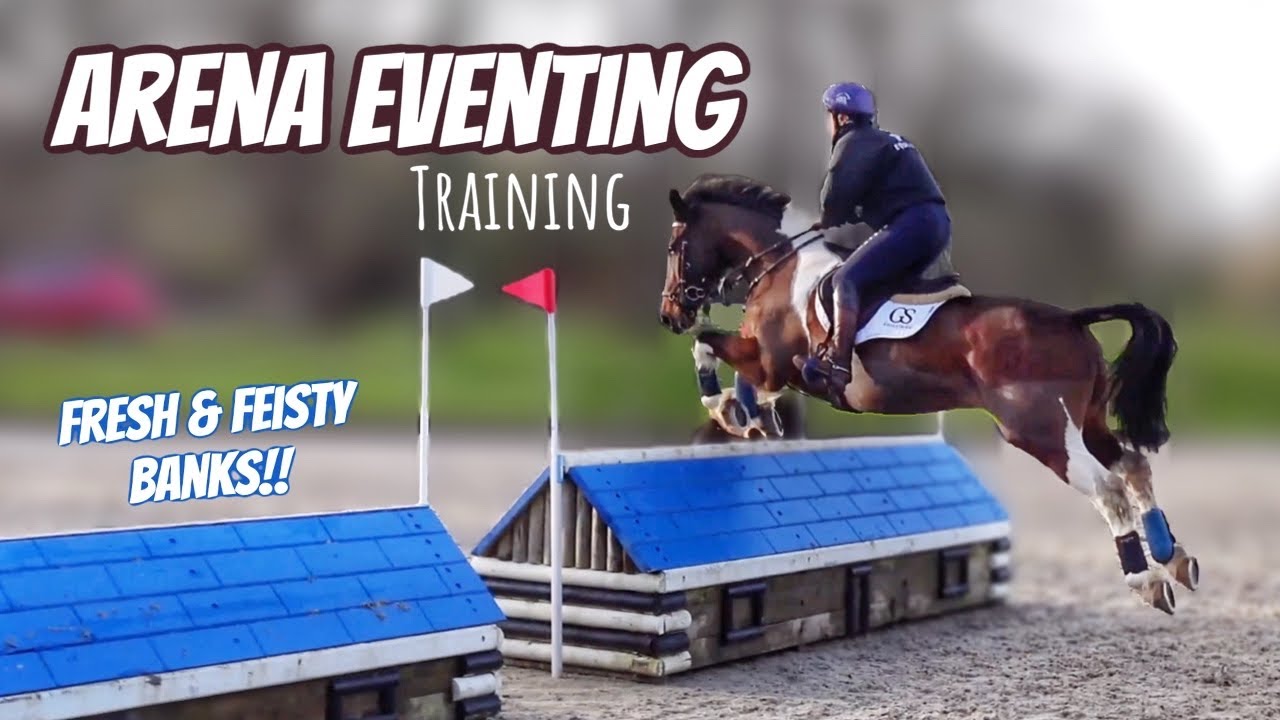 ARENA EVENTING on my FERAL Horse 