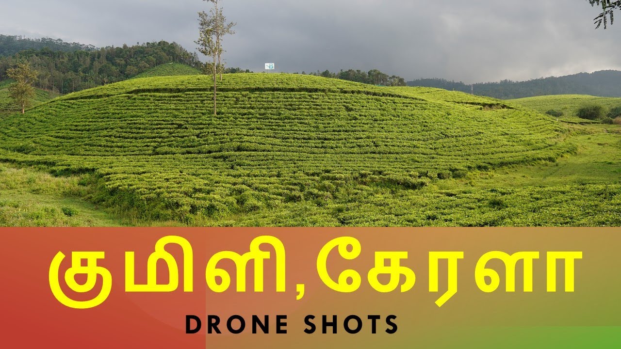 Kumily tourist places | Hill stations in Kerala | Drone shots | Thekkady tourist places