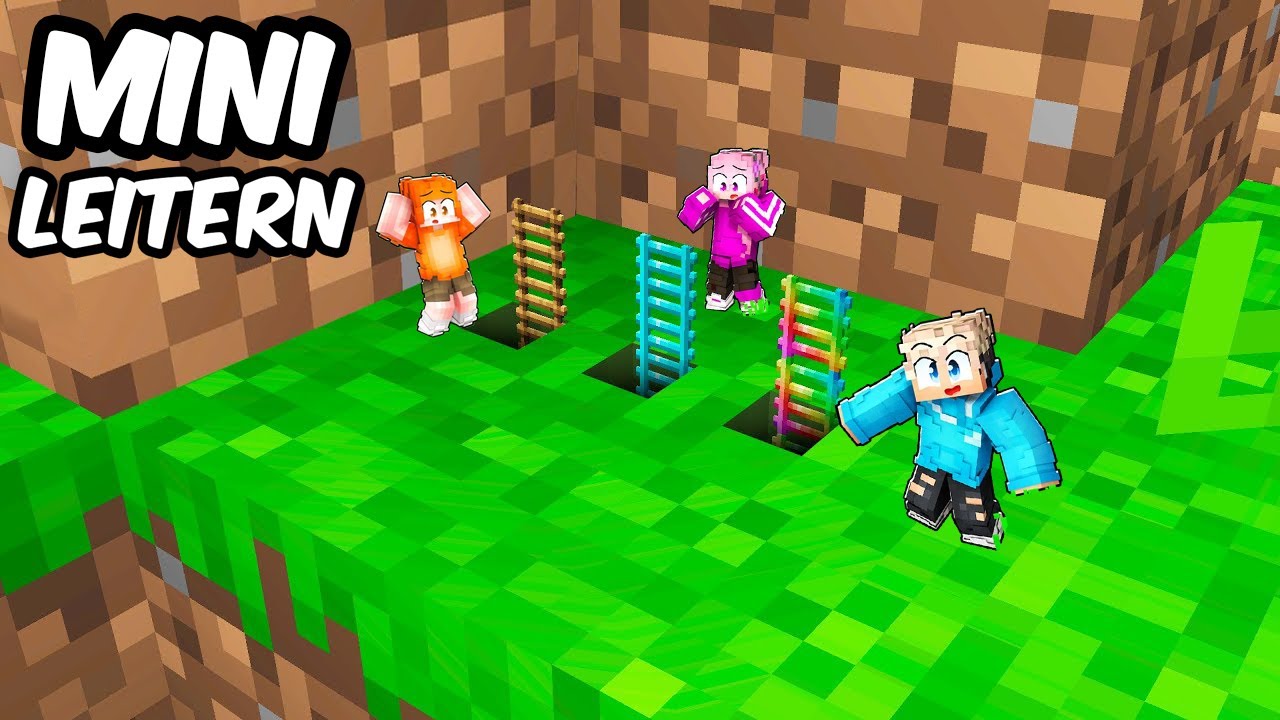 Was ist unter den MINI LEITERN in Minecraft?