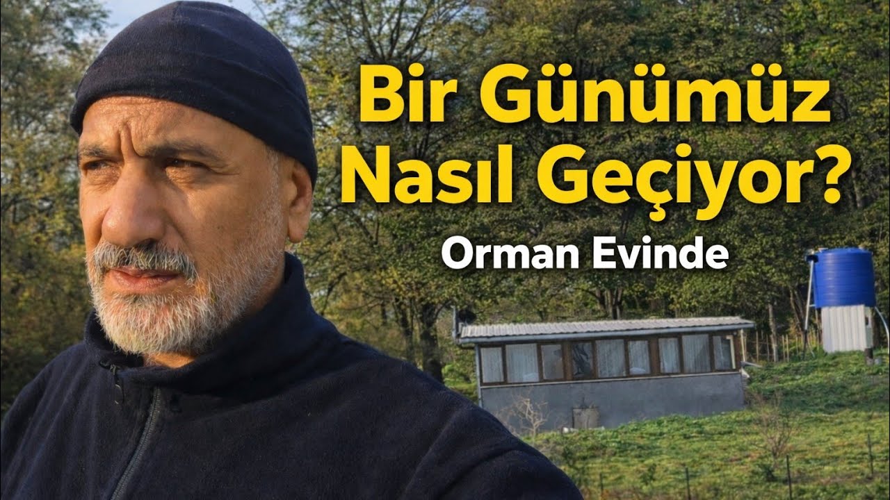 DOĞADA BİR GÜNÜMÜZ NASIL GEÇİYOR? | Orman Evinde 24 Saat
