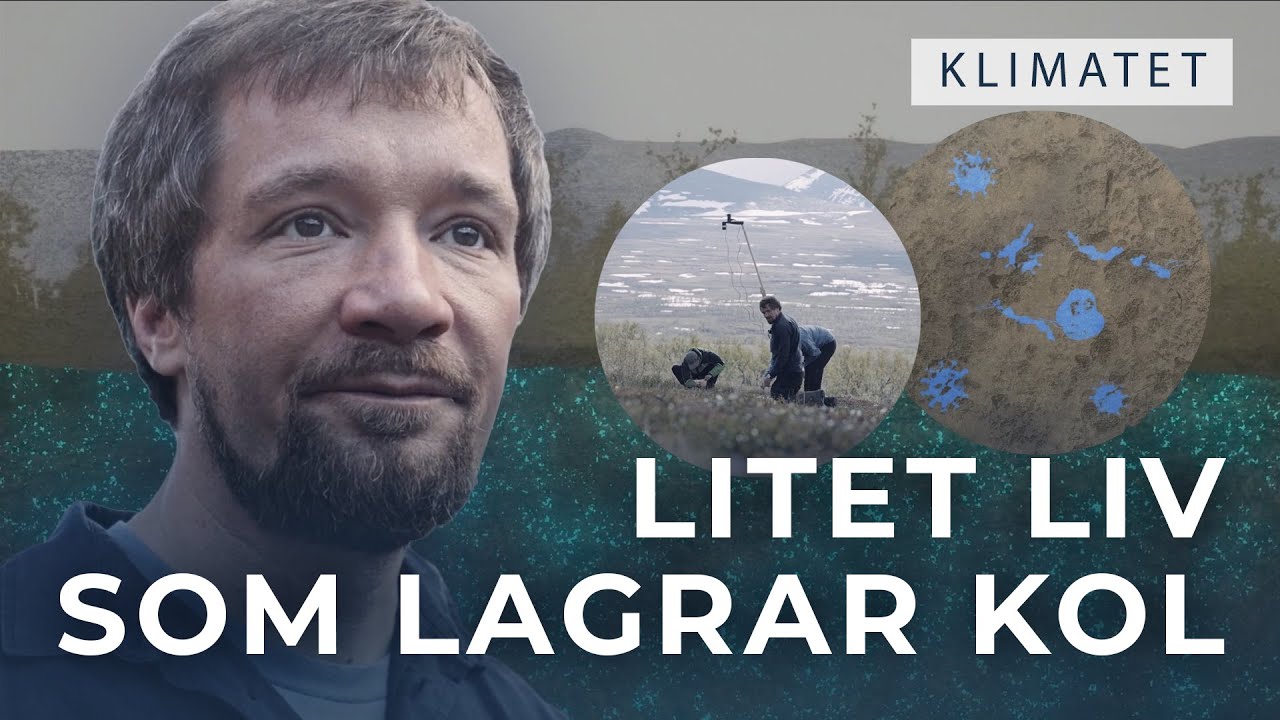 Hur påverkar markens mikrober klimatförändringarna?