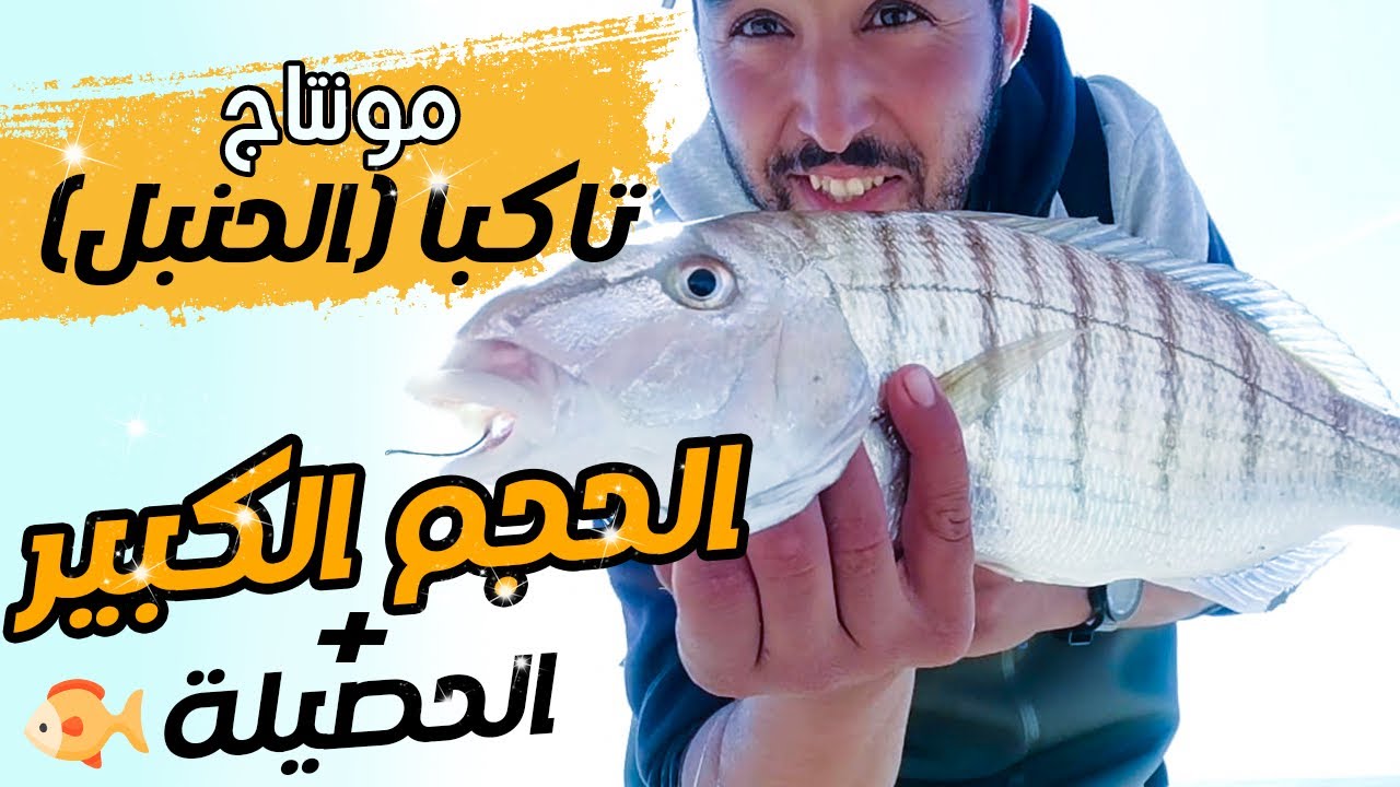 صيد السمك الحنبل تكبا من شاطئ اكادير سمكة كبيره لمتكن من نصيب