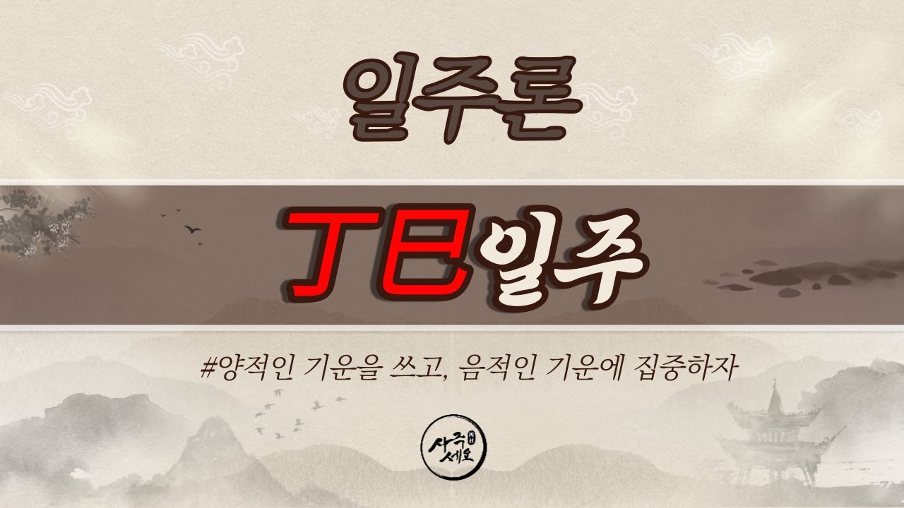 정사일주 [양적인 역동성을 쓰며, 음적인 기운에 집중하자]