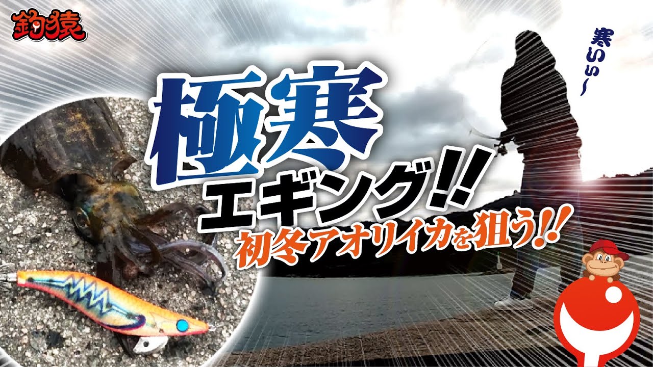 極寒エギング！アオリイカ調査！【釣猿】