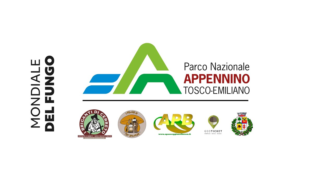Campionato mondiale del fungo