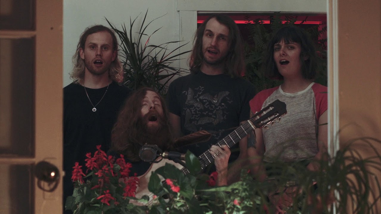 Saintseneca - 