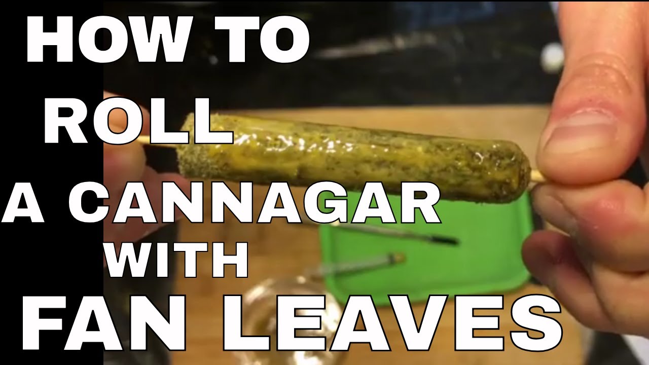 How to Roll A Cannagar With Fan Leaves | Purple Rose Supply