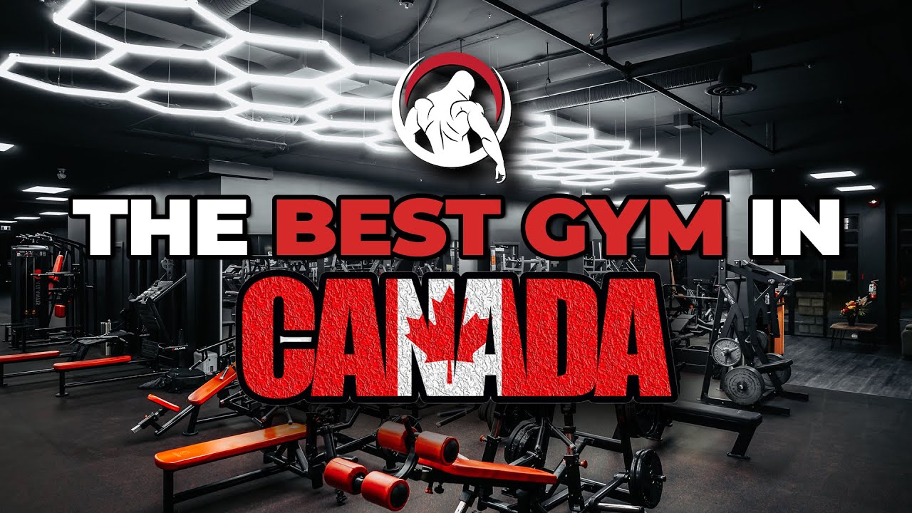 The Untold Story Of Aesthetic Nation Gym