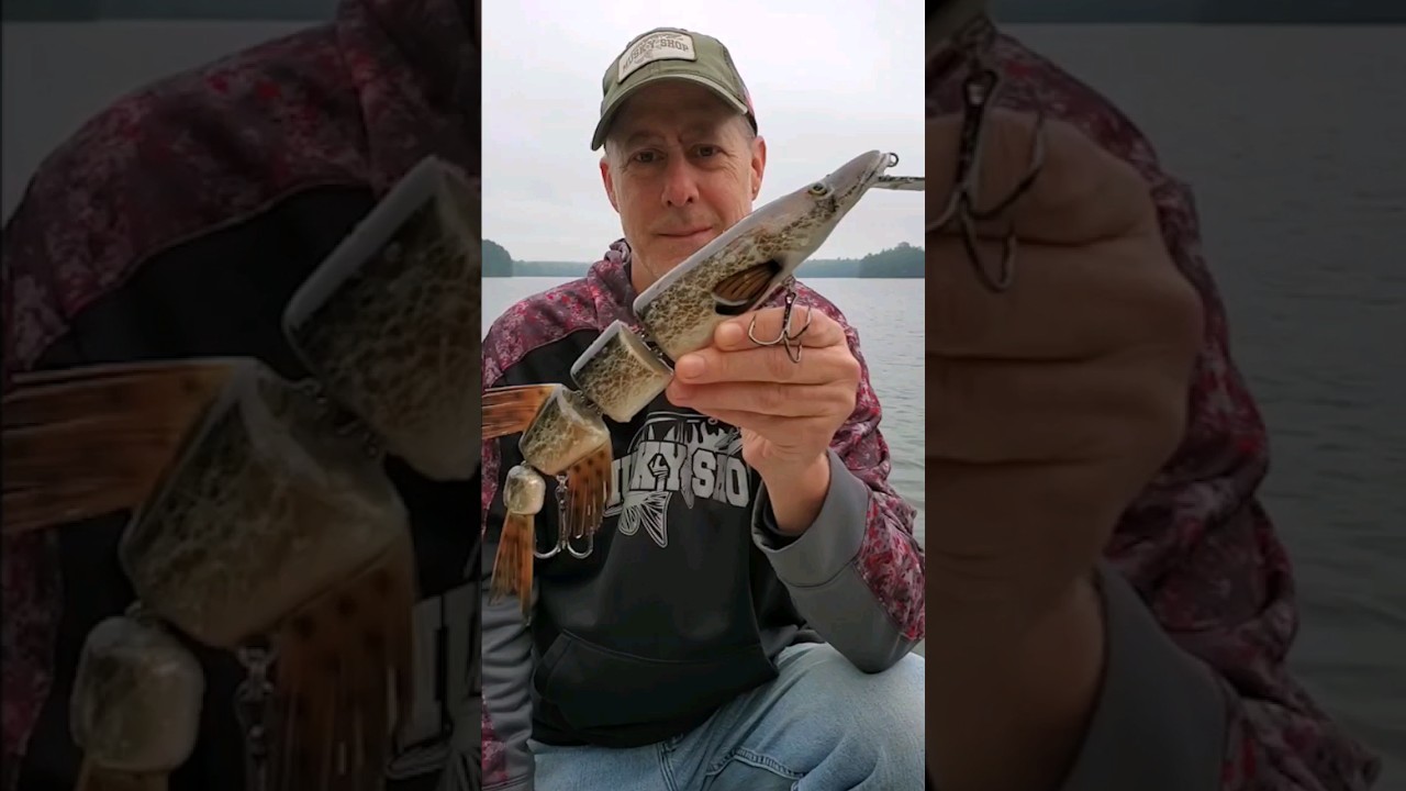 The Most Expensive Lure We Have