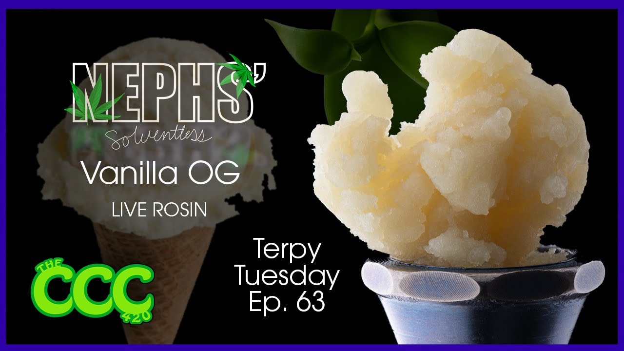 Terpy Tuesday Episode 63: Puffco Proxy & Neph's Solventless Vanilla OG Live Rosin