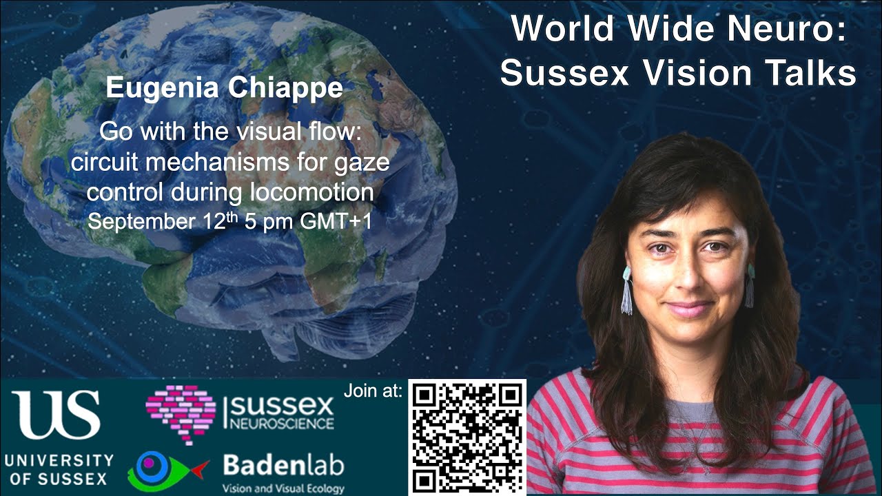 World Wide Neuro | Sussex Vision Series - 12/09/2025 - Prof. Eugenia Chiappe