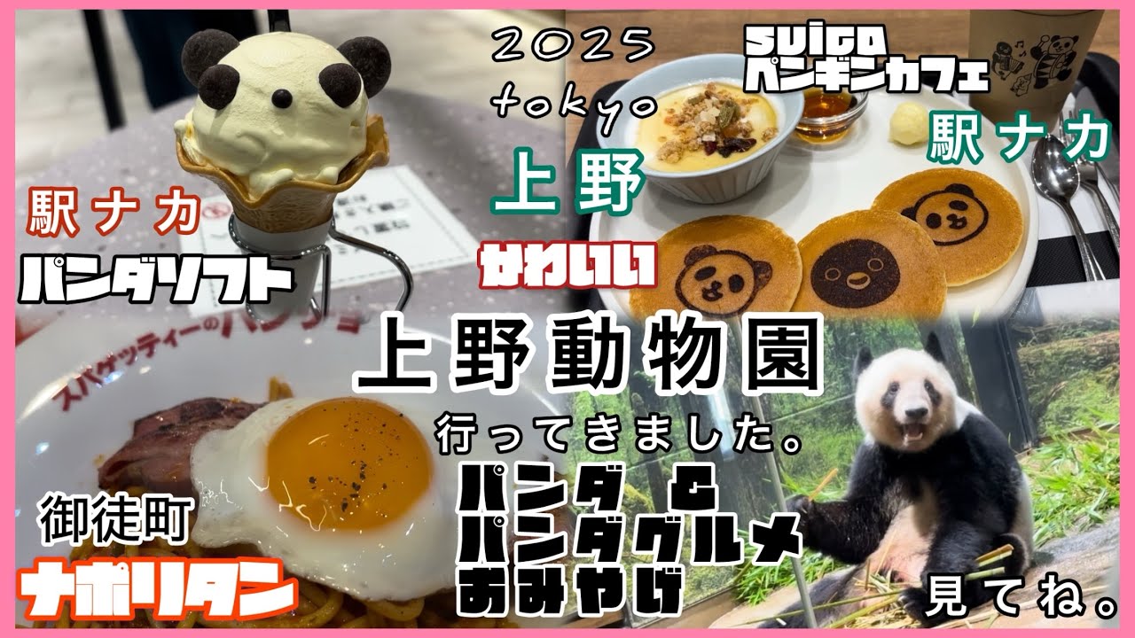 #上野動物園  かわいいパンダとパンダグルメ、suicaペンギン、ナポリタン。