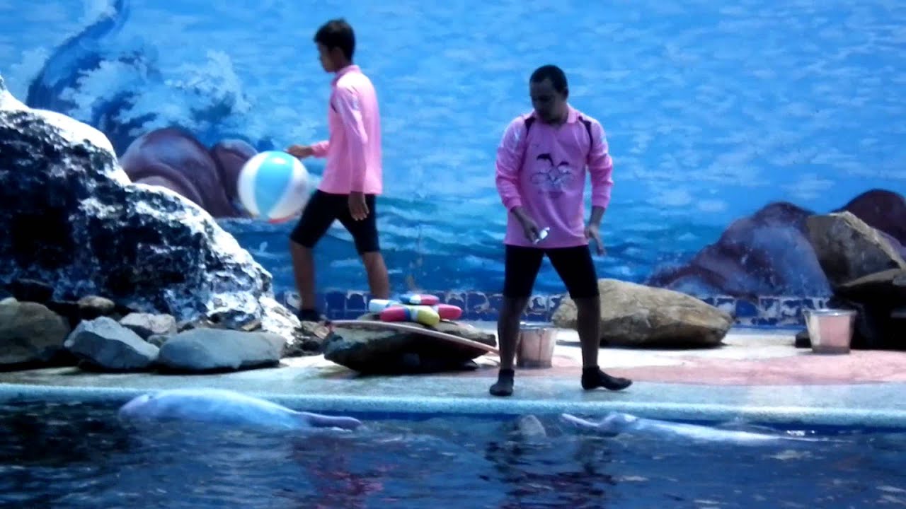 Oasis Sea World, Chanthaburi, Thailand