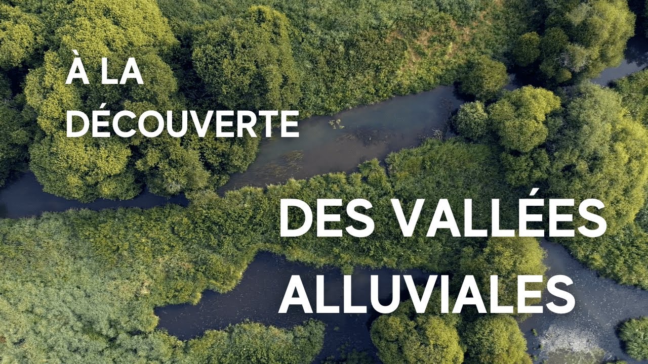 À la découverte des vallées alluviales