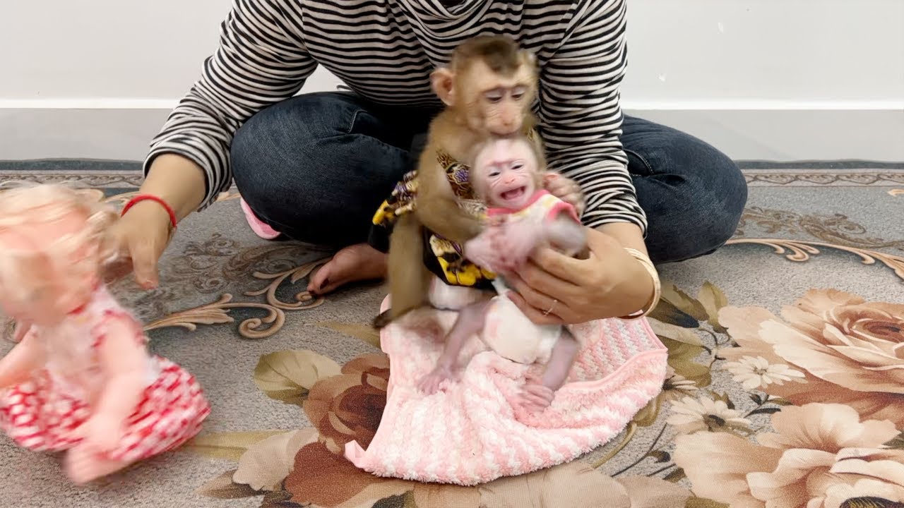 Pity Baby Tauch Very Dislike To Stay With Lil Katy