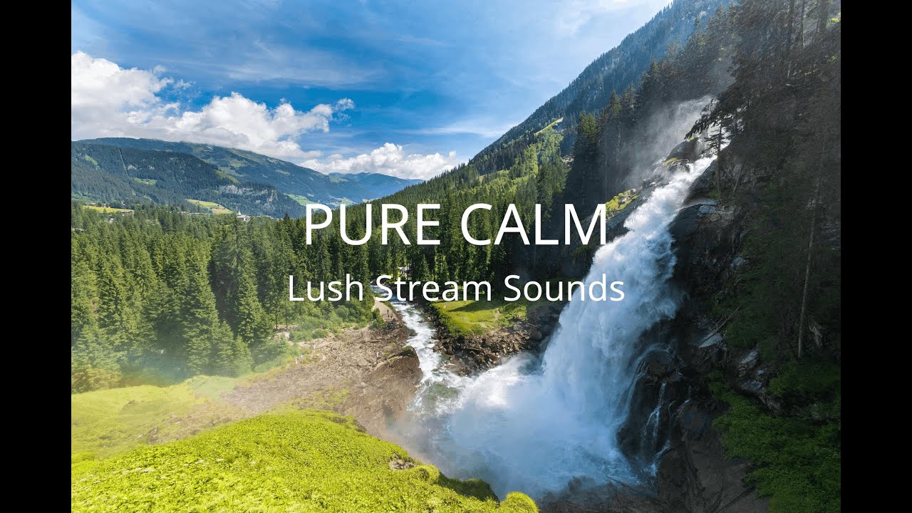Deep Focus: Lush Green Stream & Soft Piano | Nature Sanctuary for Mental Clarity